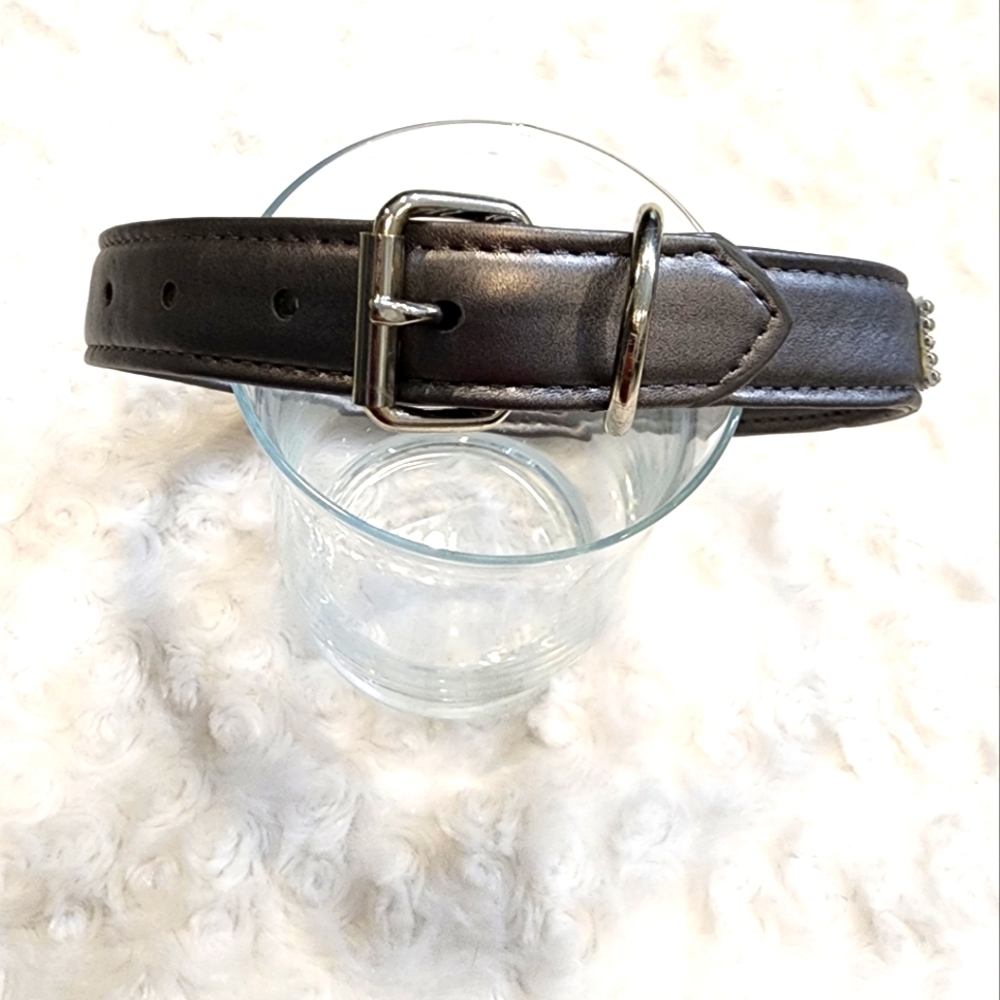 Silver Collar - Picture 3 of 3